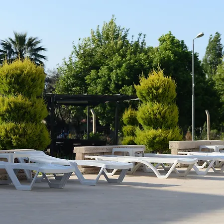 Gold Kusadası